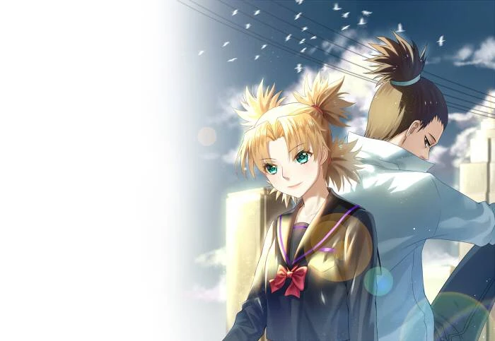 nara-shikamarutemari