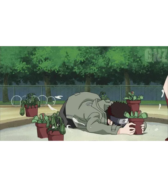 aburame-shinohyuuga-hinatahyuuga-nejirock-lee