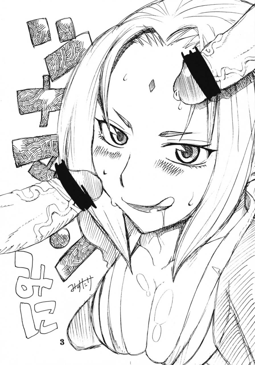 c66-evolution-brand-misutake-koki-no-tane-roku-no-kan-naruto