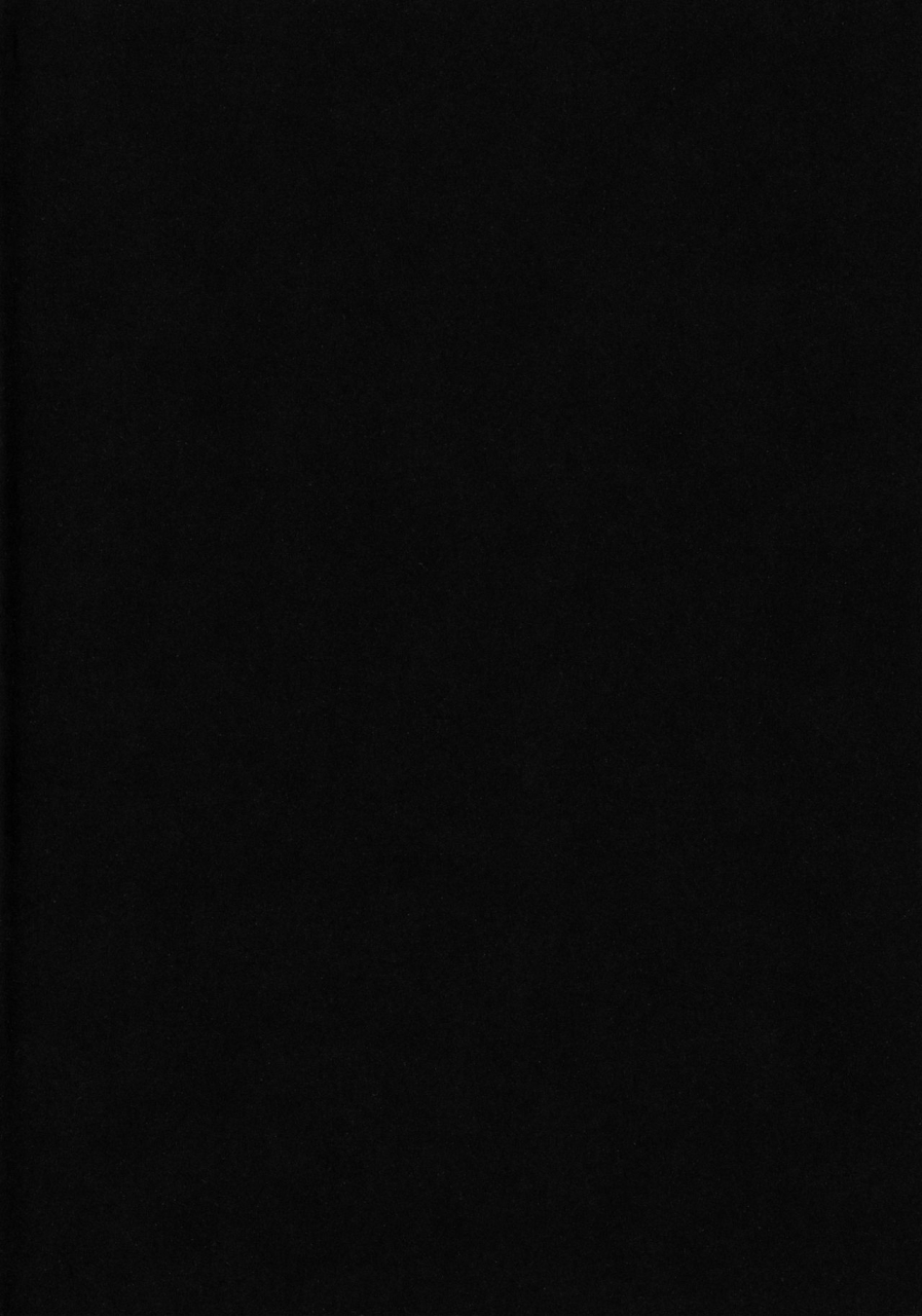 c66-cha-cha-cha-brothers-rupinasu-touzokudan-yokoyama-chicha-kijirushi-one-piece