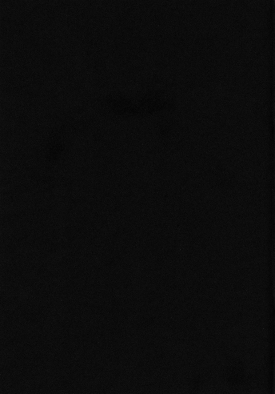 c66-cha-cha-cha-brothers-rupinasu-touzokudan-yokoyama-chicha-kijirushi-one-piece