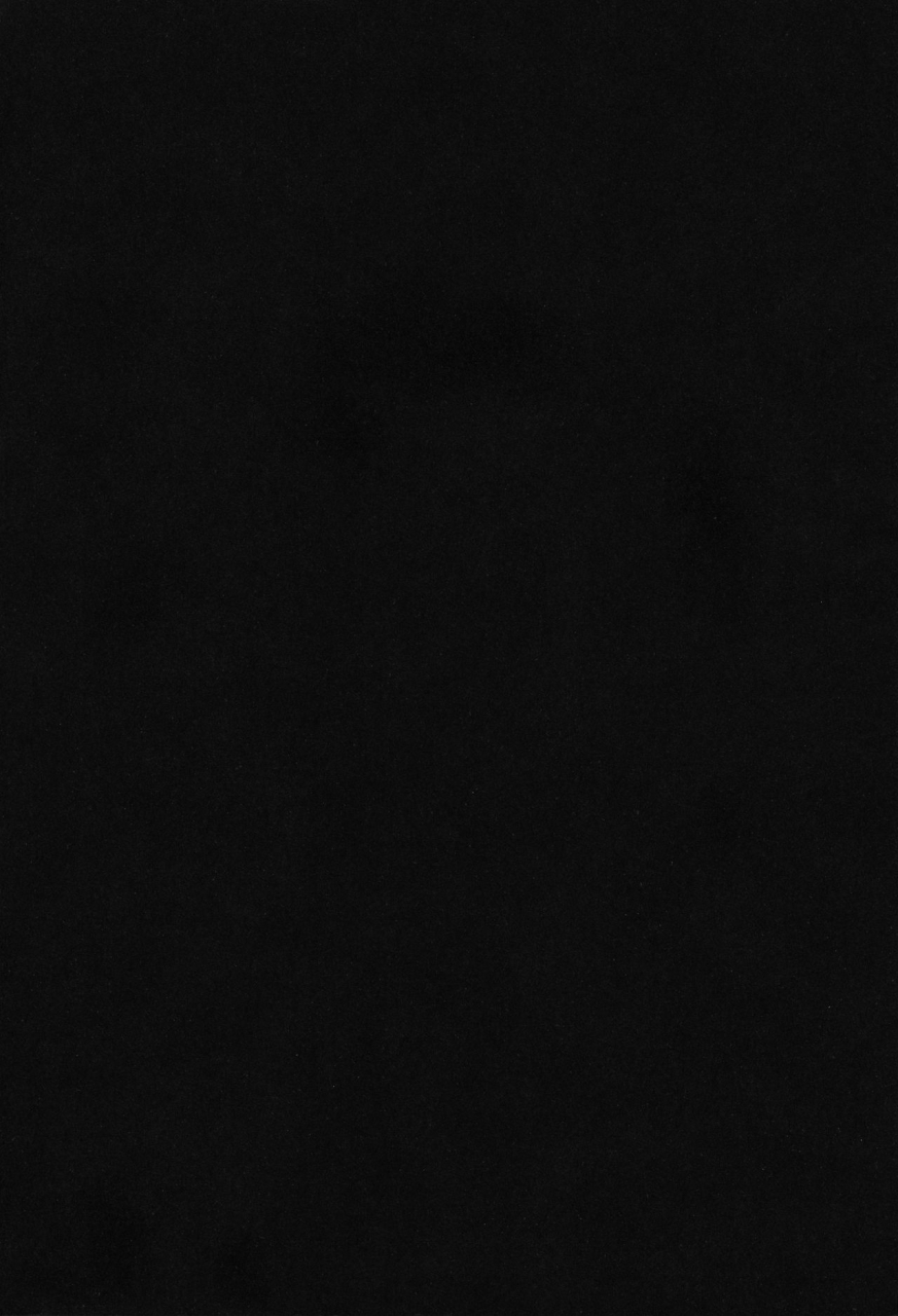 c66-cha-cha-cha-brothers-rupinasu-touzokudan-yokoyama-chicha-kijirushi-one-piece