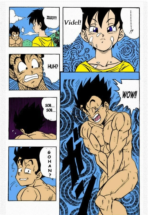 dragon-ball-h-gohan-x-videl-colored
