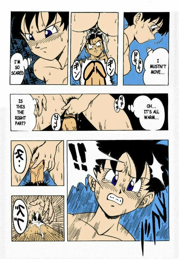 dragon-ball-h-gohan-x-videl-colored