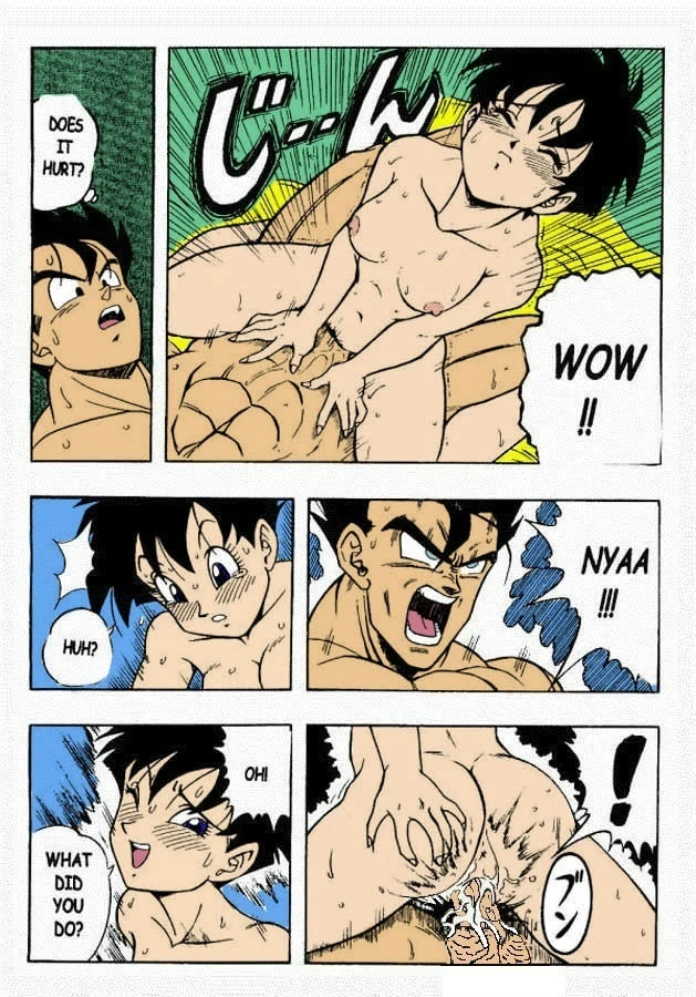 dragon-ball-h-gohan-x-videl-colored