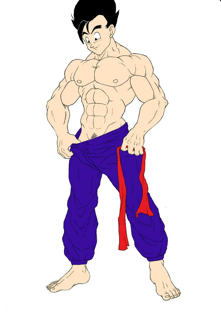 dragon-ball-h-gohan-x-videl-colored