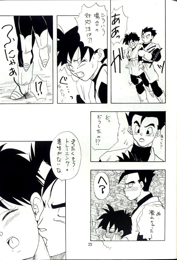 chirigami-goya-fusuma-go-ten-shouji-hariko-yyy-dragon-ball