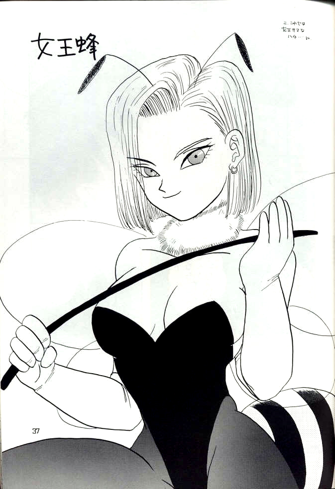 chirigami-goya-fusuma-go-ten-shouji-hariko-yyy-dragon-ball