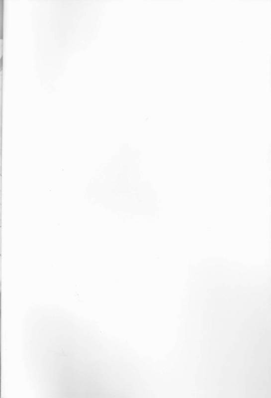 (Zennin Shuuketsu 4) [Heinetsu 37℃ (Nanae Juu)] Stardust Honeymoon (Naruto) [En_02