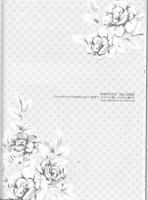 (C75) [Pierre (Garakuta Sochi)] Dream Passport (Naruto)_040