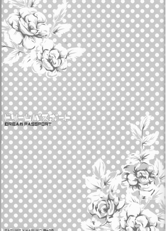 (C75) [Pierre (Garakuta Sochi)] Dream Passport (Naruto)[English] [Squigglesjp]ongoing_003