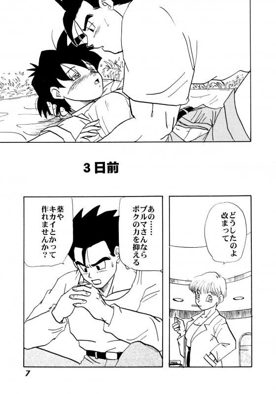 (C52) [Chirigami Goya, Fusuma Goten (Shouji Haruzo)] Irohani (Dragon Ball GT)_06