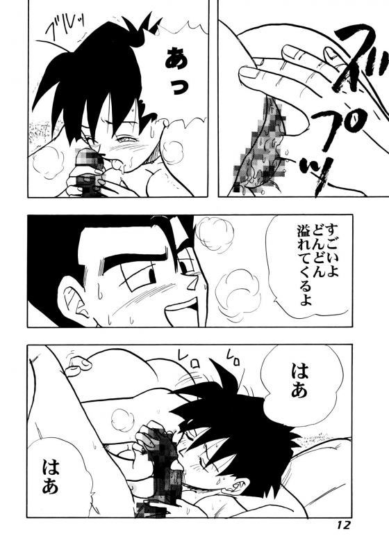 (C52) [Chirigami Goya, Fusuma Goten (Shouji Haruzo)] Irohani (Dragon Ball GT)_11