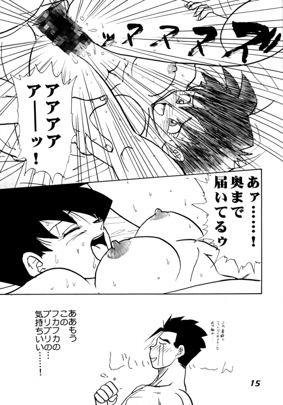 (C52) [Chirigami Goya, Fusuma Goten (Shouji Haruzo)] Irohani (Dragon Ball GT)_14