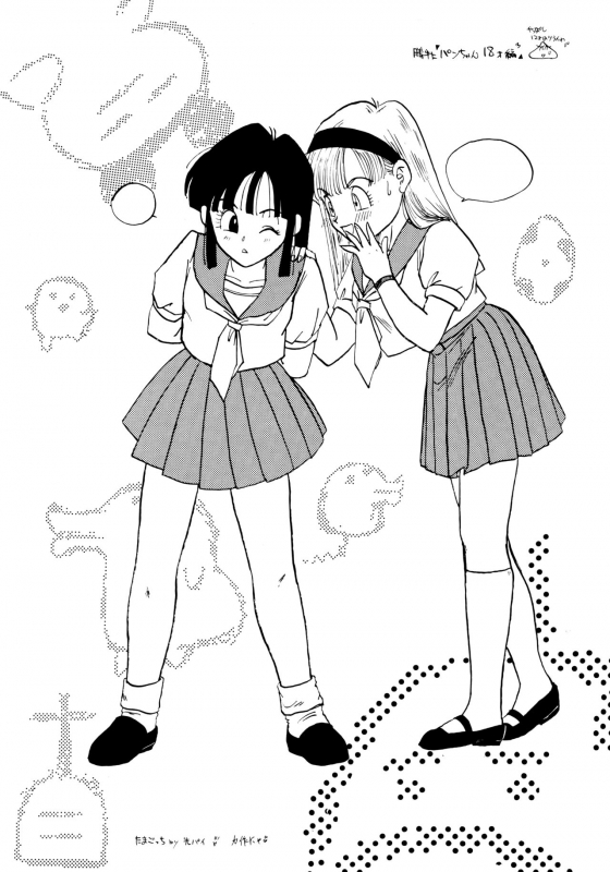 (C52) [Chirigami Goya, Fusuma Goten (Shouji Haruzo)] Irohani (Dragon Ball GT)_22