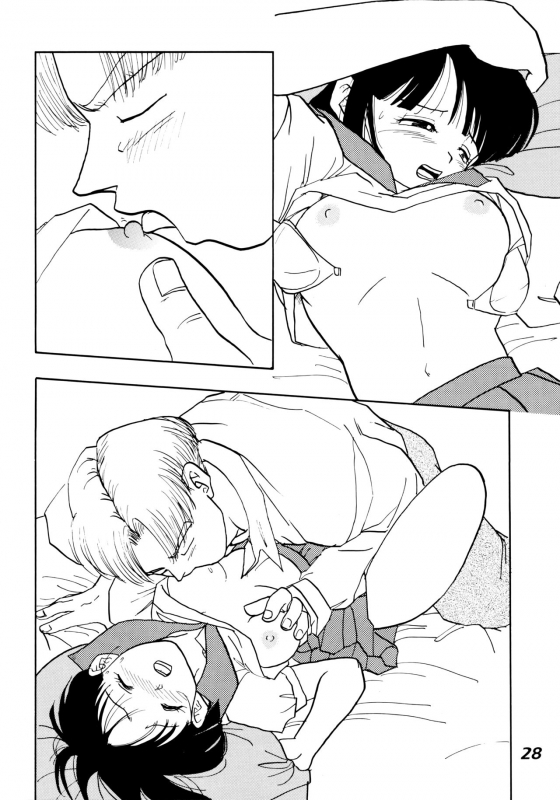 (C52) [Chirigami Goya, Fusuma Goten (Shouji Haruzo)] Irohani (Dragon Ball GT)_27