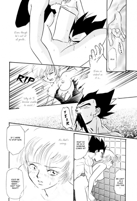 (C61) [Ryujin-kai (HITO Ribuki)] Saru no Fukou wa Mitsu no Aji The Monkey's Misery is a Secret Pleasure (Dragon Ball Z) [English] [Arigatomina]_14