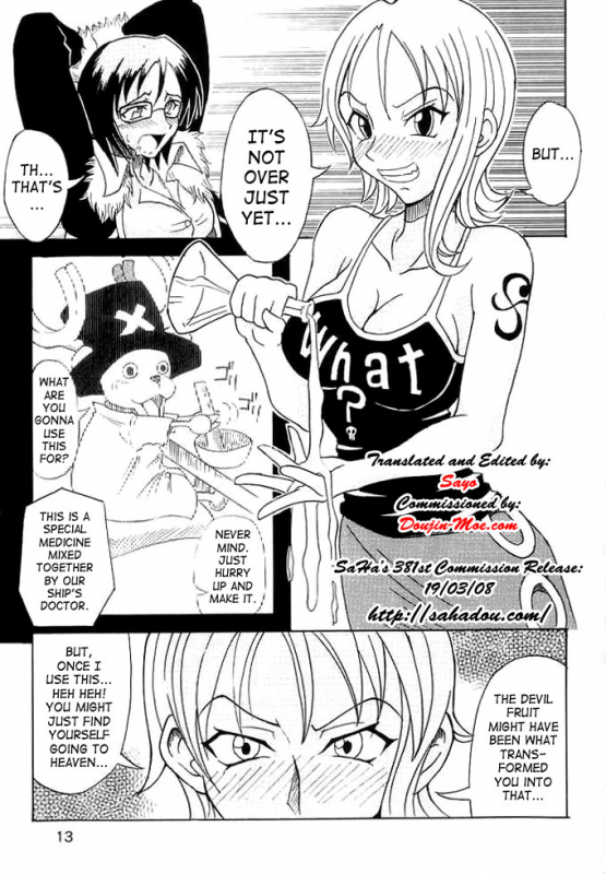 (C63) [Majimeya (isao)] Don't Trust Anybody (One Piece) [English] {doujin-moe.com}_11