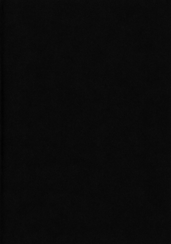 (C66) [Cha Cha Cha Brothers, Rupinasu Touzokudan (Yokoyama Chicha)] Kijirushi (One Piece)_02