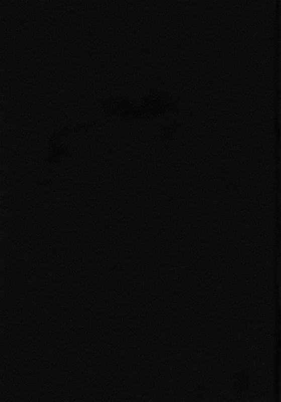 (C66) [Cha Cha Cha Brothers, Rupinasu Touzokudan (Yokoyama Chicha)] Kijirushi (One Piece)_23