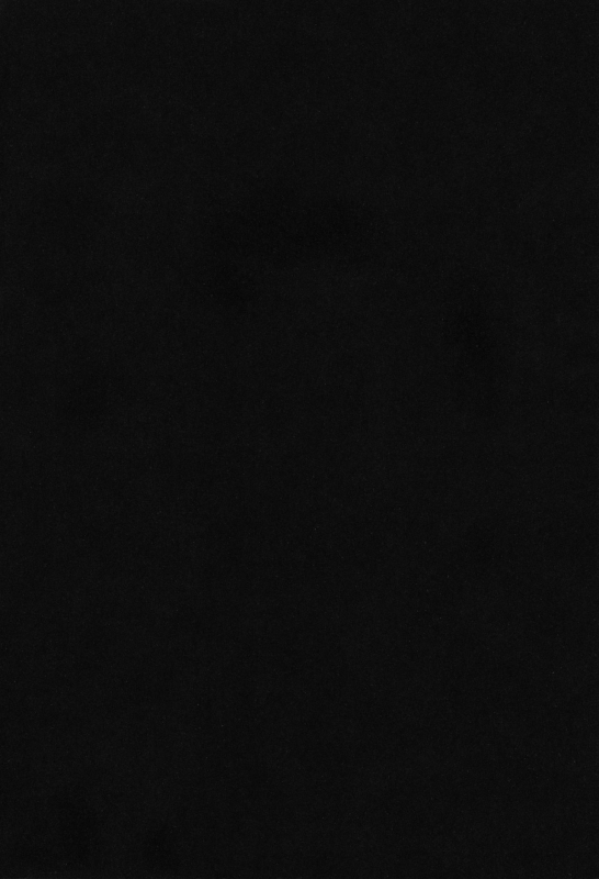 (C66) [Cha Cha Cha Brothers, Rupinasu Touzokudan (Yokoyama Chicha)] Kijirushi (One Piece)_24