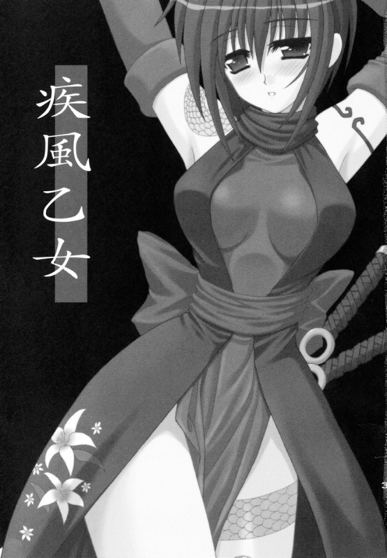 (C67) [PINK VISION (Tsuzuki Masaki)] Shippuu Otome (Various)_01