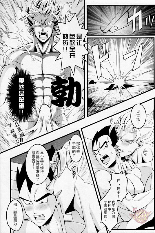 (C86) [Choco-la (Shisui)] Love Vacation 恋爱假日 (Dragon Ball) [Chinese] [Yaoi Culture汉化组]_08