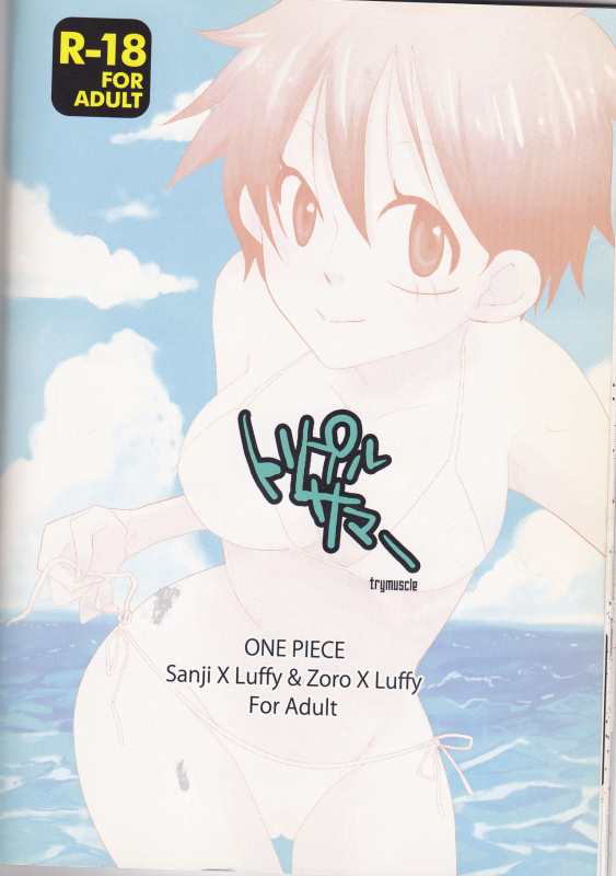 (C78) [Try Muscle (Arikawa Akira)] Triple Summer (One Piece) [English] {Hennojin}_30