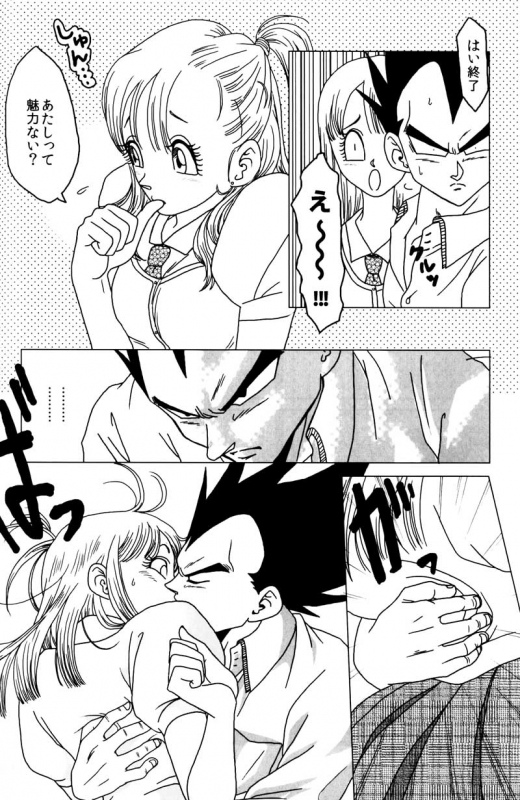 MOEBON BALL KAI (Dragonball Z) [Vegeta X Bulma]_020