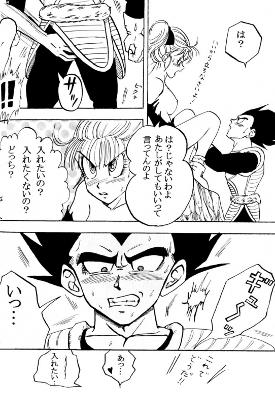 MOEBON BALL KAI (Dragonball Z) [Vegeta X Bulma]_046