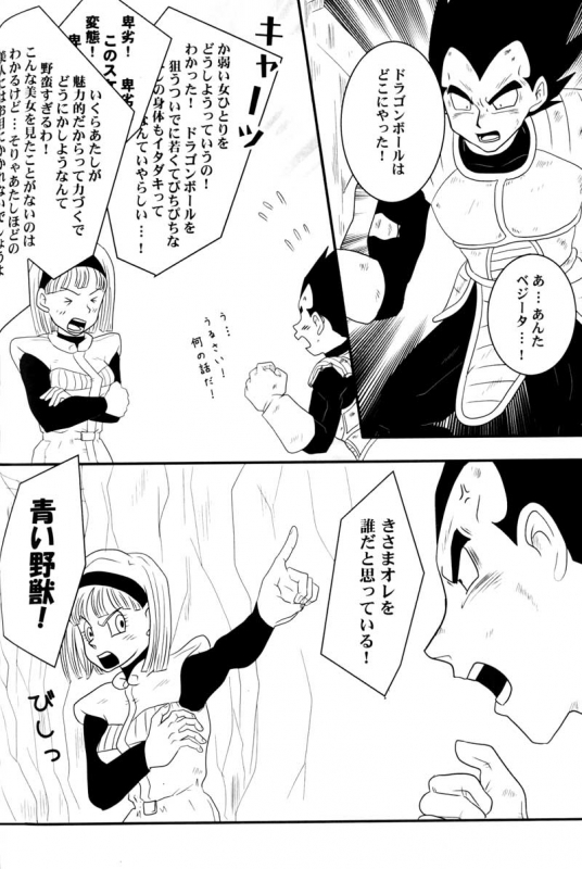 MOEBON BALL KAI (Dragonball Z) [Vegeta X Bulma]_050