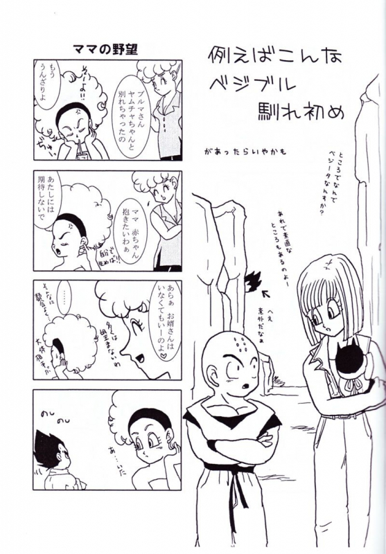 Vegeta and Bulma Love (Dragonball)_03