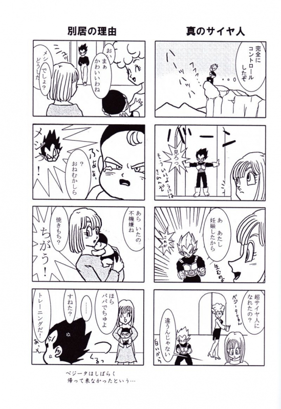 Vegeta and Bulma Love (Dragonball)_07