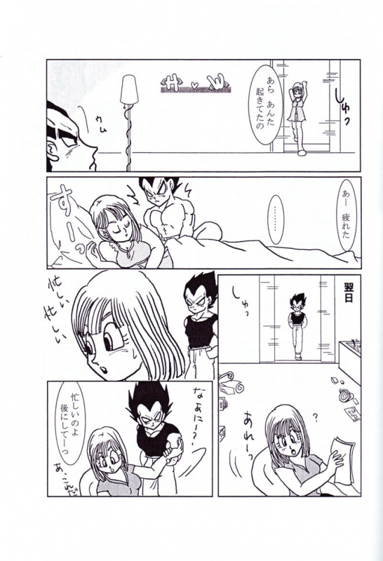Vegeta and Bulma Love (Dragonball)_13