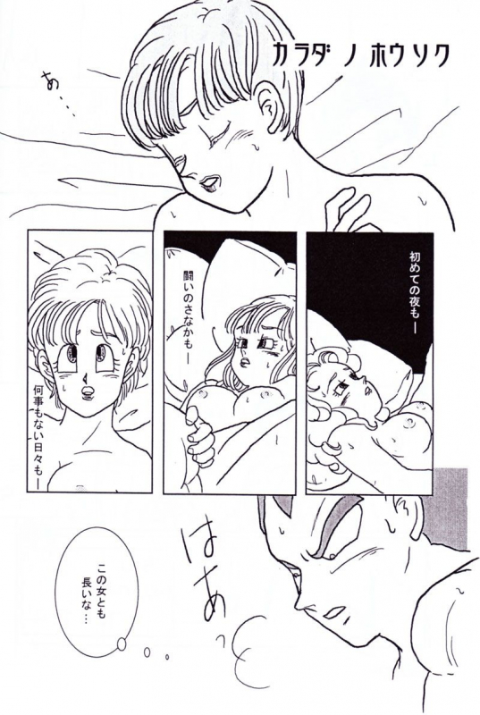 Vegeta and Bulma Love (Dragonball)_24