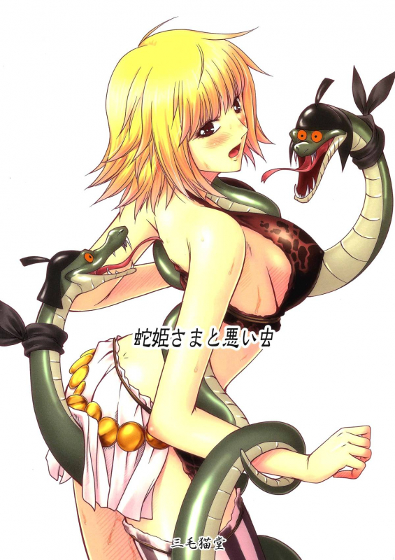(C84) [Mikenekodou (Muten)] Hebi Hime-sama to Warui Mushi (One Piece) [Chinese] [沒有漢化]_37