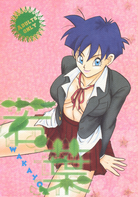 [Chirigami Goya, Fusuma Goten (Shoji Hariko, Kuri)] Wakayo (Dragon Ball GT)_00