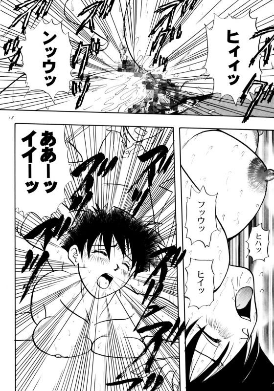 [Chirigami Goya, Fusuma Goten (Shoji Hariko, Kuri)] Wakayo (Dragon Ball GT)_17