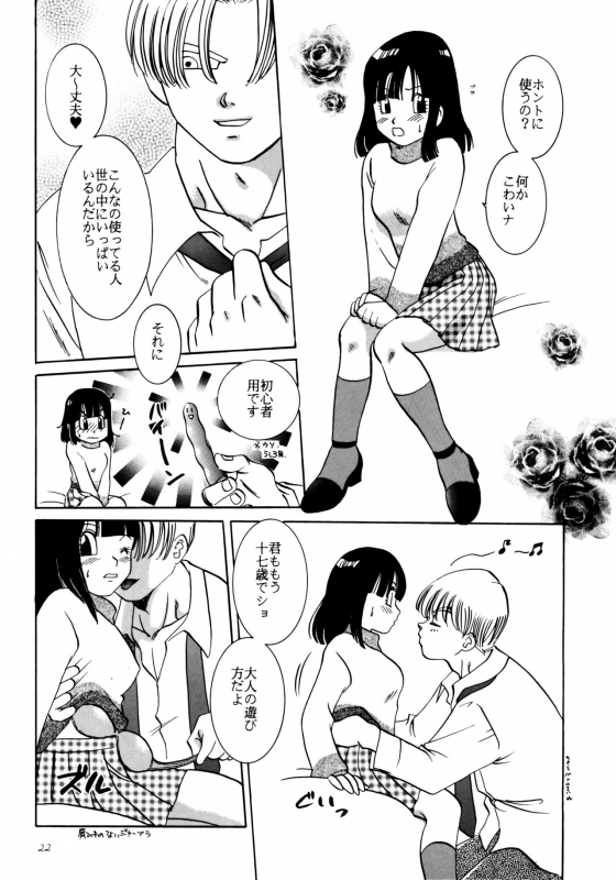 [Chirigami Goya, Fusuma Goten (Shoji Hariko, Kuri)] Wakayo (Dragon Ball GT)_21