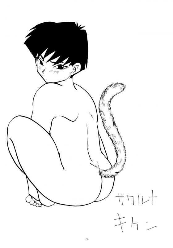 [Chirigami Goya, Fusuma Goten (Shoji Hariko, Kuri)] Wakayo (Dragon Ball GT)_30