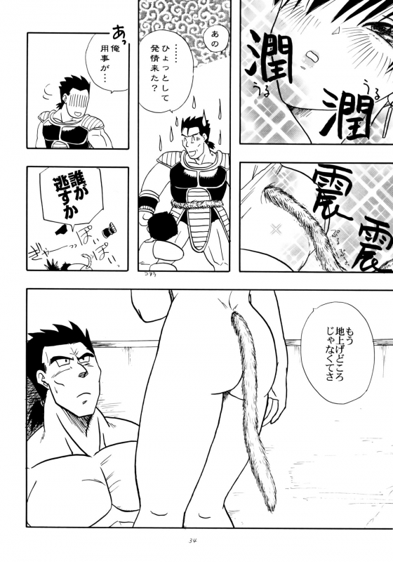 [Chirigami Goya, Fusuma Goten (Shoji Hariko, Kuri)] Wakayo (Dragon Ball GT)_33