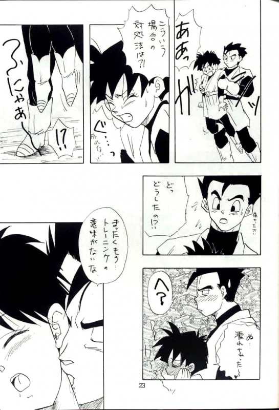 [Chirigami Goya, Fusuma go Ten (Shouji Hariko)] YYY (Dragon Ball)_22