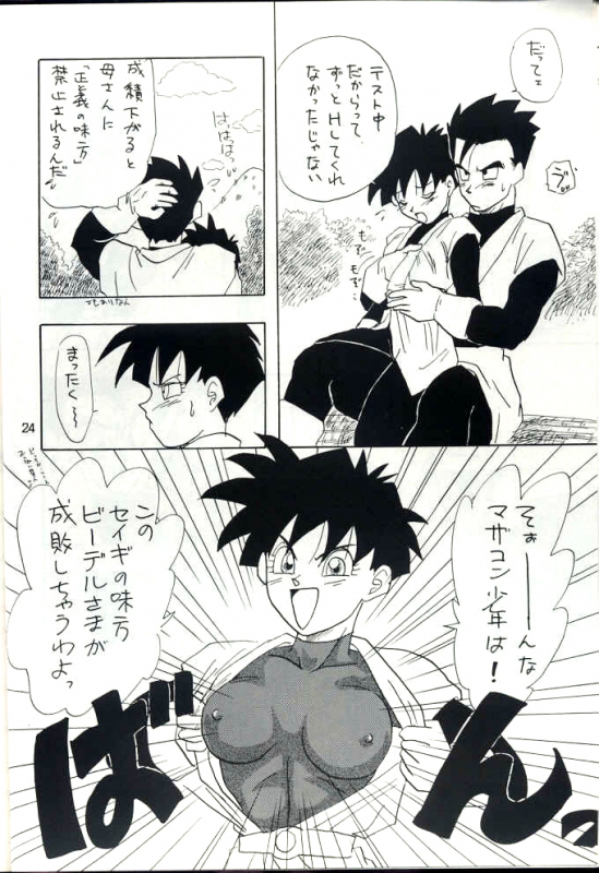 [Chirigami Goya, Fusuma go Ten (Shouji Hariko)] YYY (Dragon Ball)_23