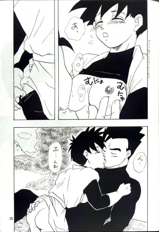 [Chirigami Goya, Fusuma go Ten (Shouji Hariko)] YYY (Dragon Ball)_24
