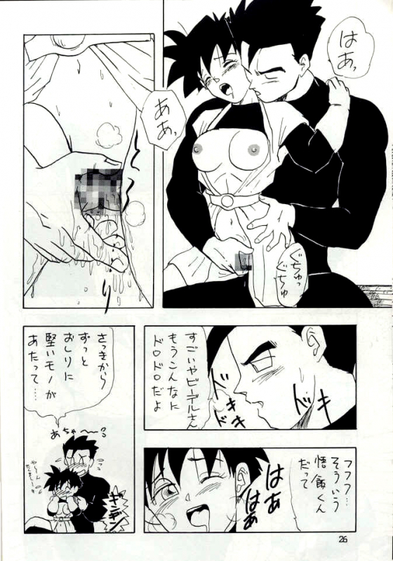 [Chirigami Goya, Fusuma go Ten (Shouji Hariko)] YYY (Dragon Ball)_25