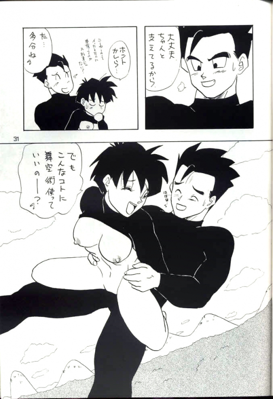 [Chirigami Goya, Fusuma go Ten (Shouji Hariko)] YYY (Dragon Ball)_30