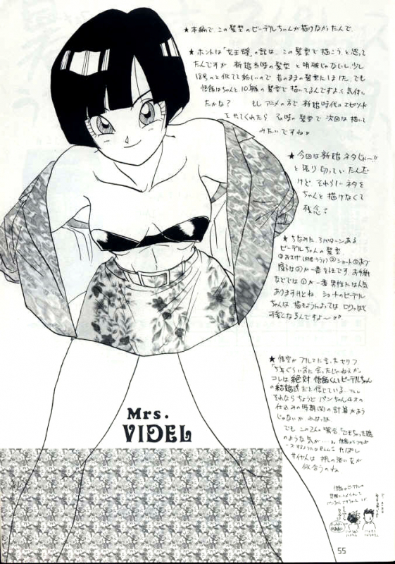 [Chirigami Goya, Fusuma go Ten (Shouji Hariko)] YYY (Dragon Ball)_54