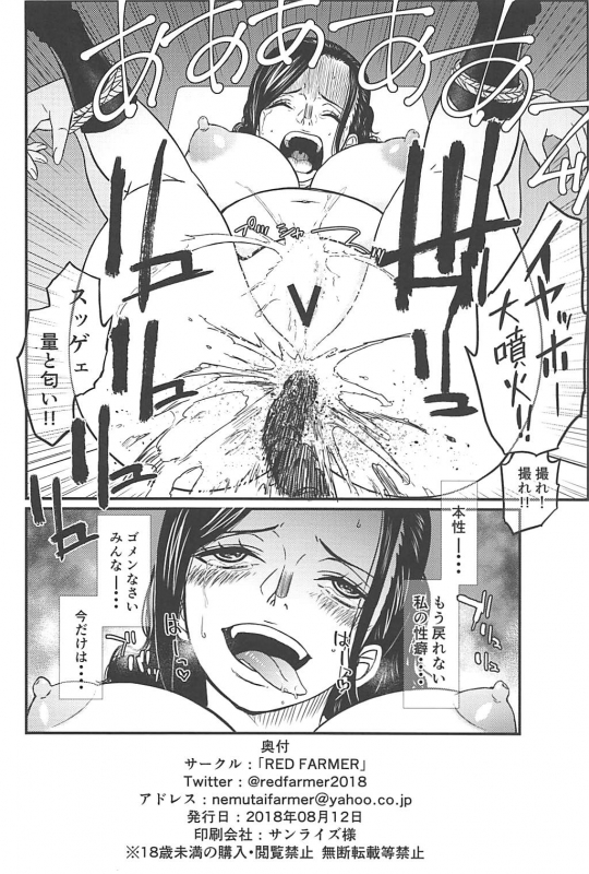 (C94) [RED FARMER (Aka Shirt Seisansha)] ROBIN'S HOLE (One Piece)_24