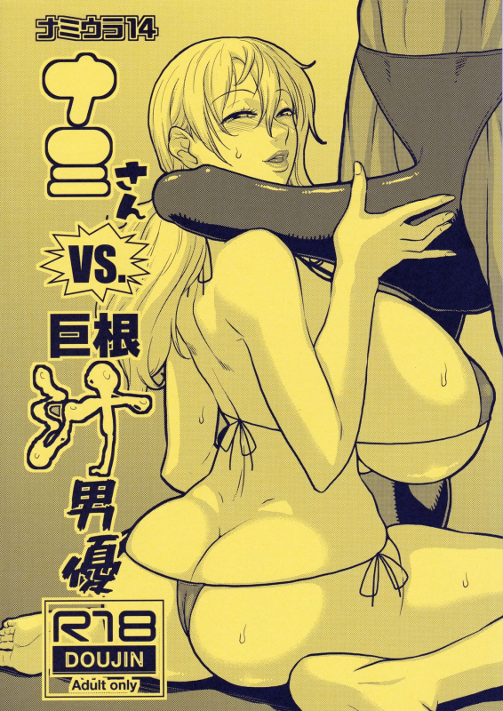(C96) [ACID-HEAD (Murata.)] Nami Ura 14 Nami-san VS Kyokon Shiru Danyuu (One Piece)_00