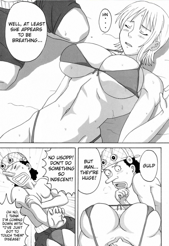 (SC39) [Naruho-dou (Naruhodo)] Ii Nami Yume Kibun Good Nami Dream Feeling (One Piece) [English] [doujin-moe.us]_05